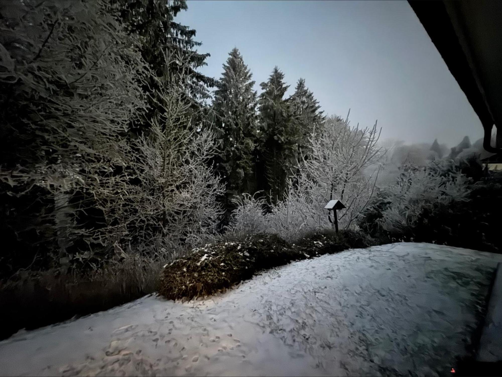 Apartment Maja Unmittelbar An Der Skipiste وينتربرغ المظهر الخارجي الصورة